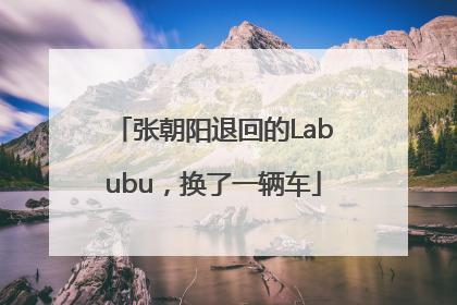 张朝阳退回的Labubu，换了一辆车